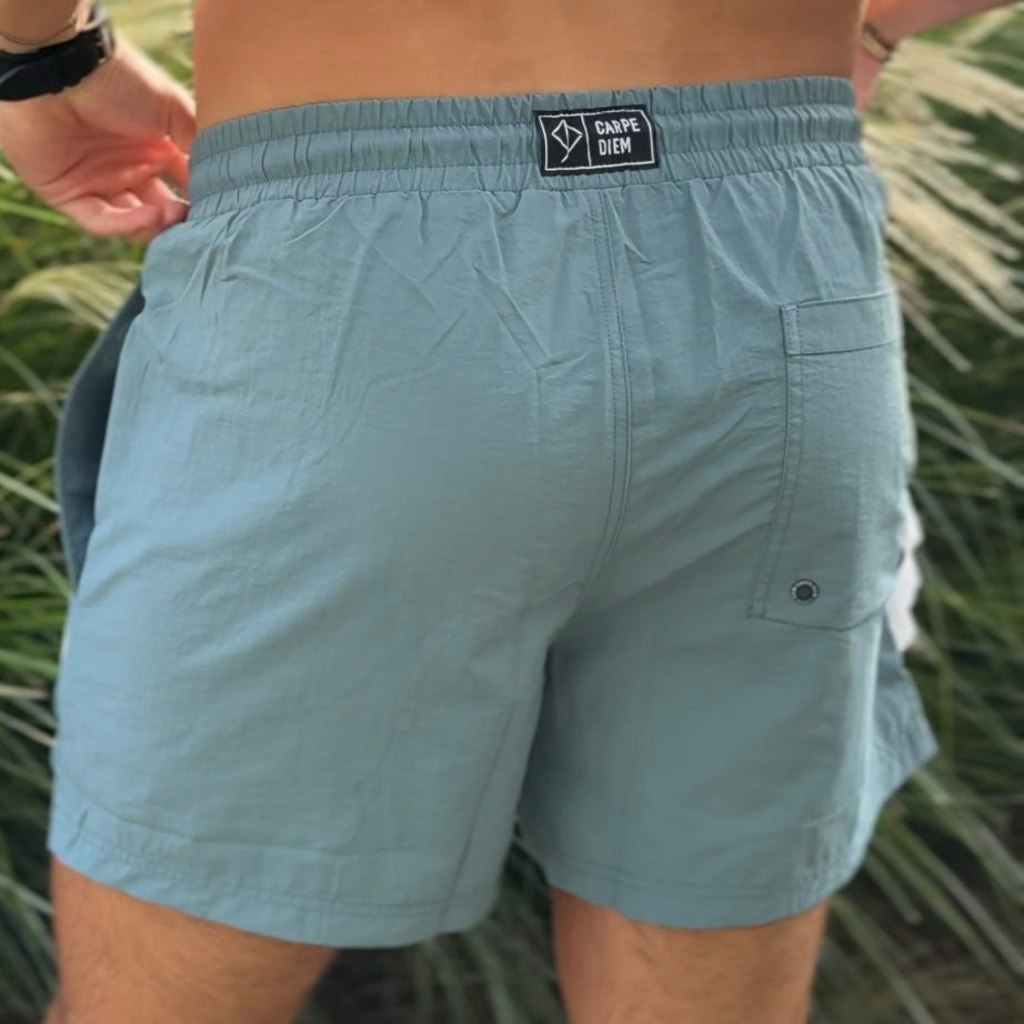Laguna Blues Board Shorts